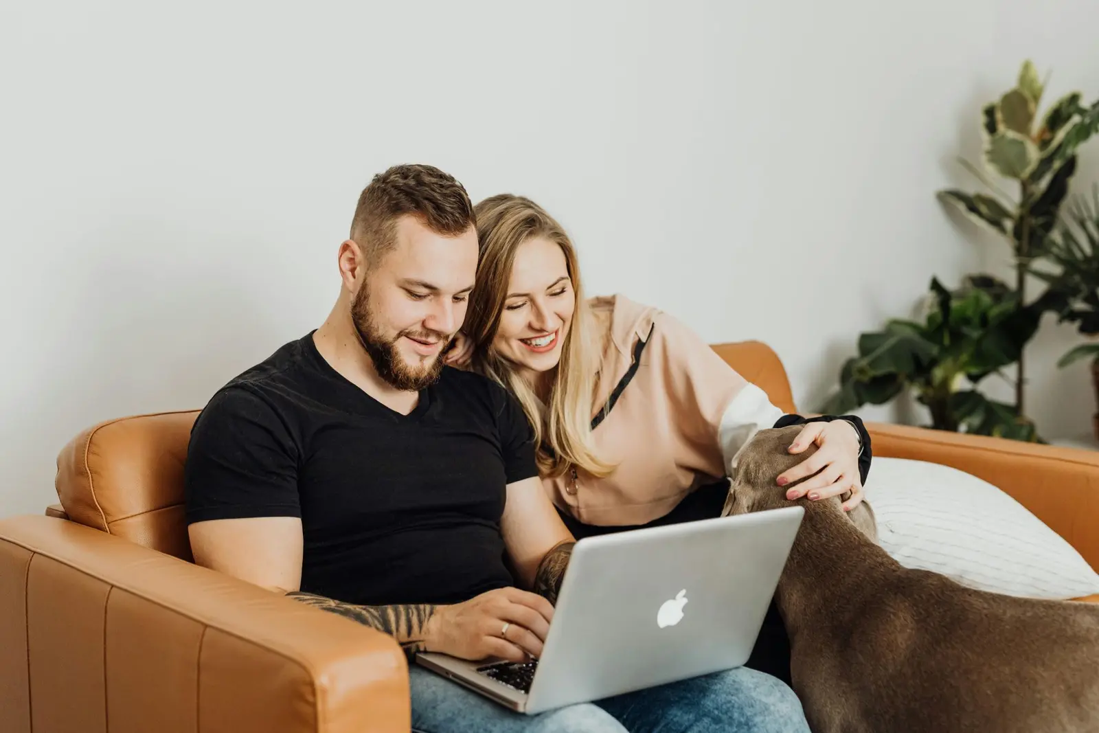 Couple reading articles about residential solar power
