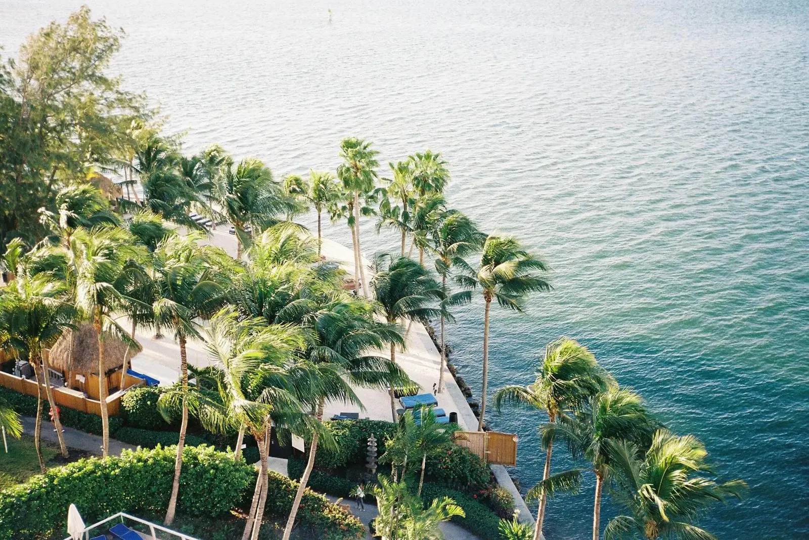 Beautiful view of Miami, Florida